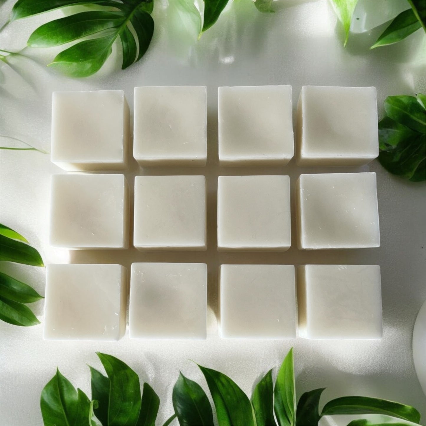 12 WAX MELTS MONTHLY SUBSCRIPTION