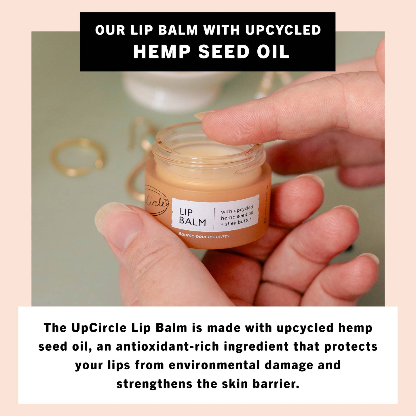 Lip Balm with upcycled Hemp Seed Oil and Shea Butter