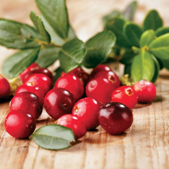 Festive Cranberry Wax Melts