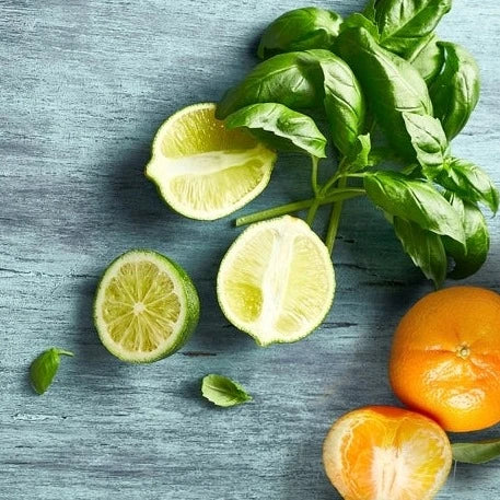 Lime Basil & Mandarin Wax Melts