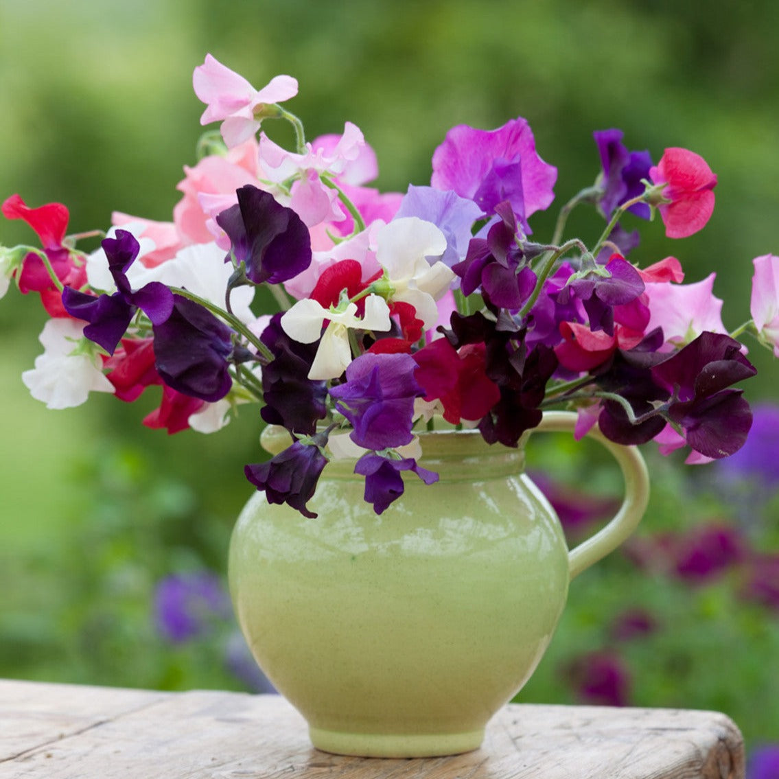 Sweet Pea Wax Melts