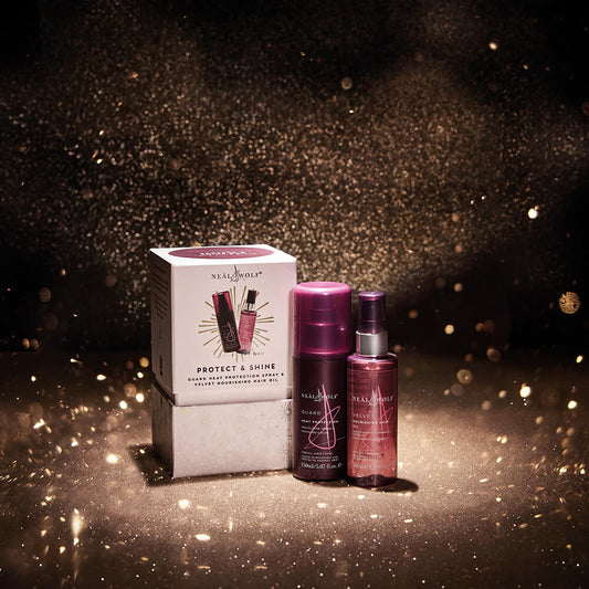 Protect & Shine Christmas Collection Gift Set