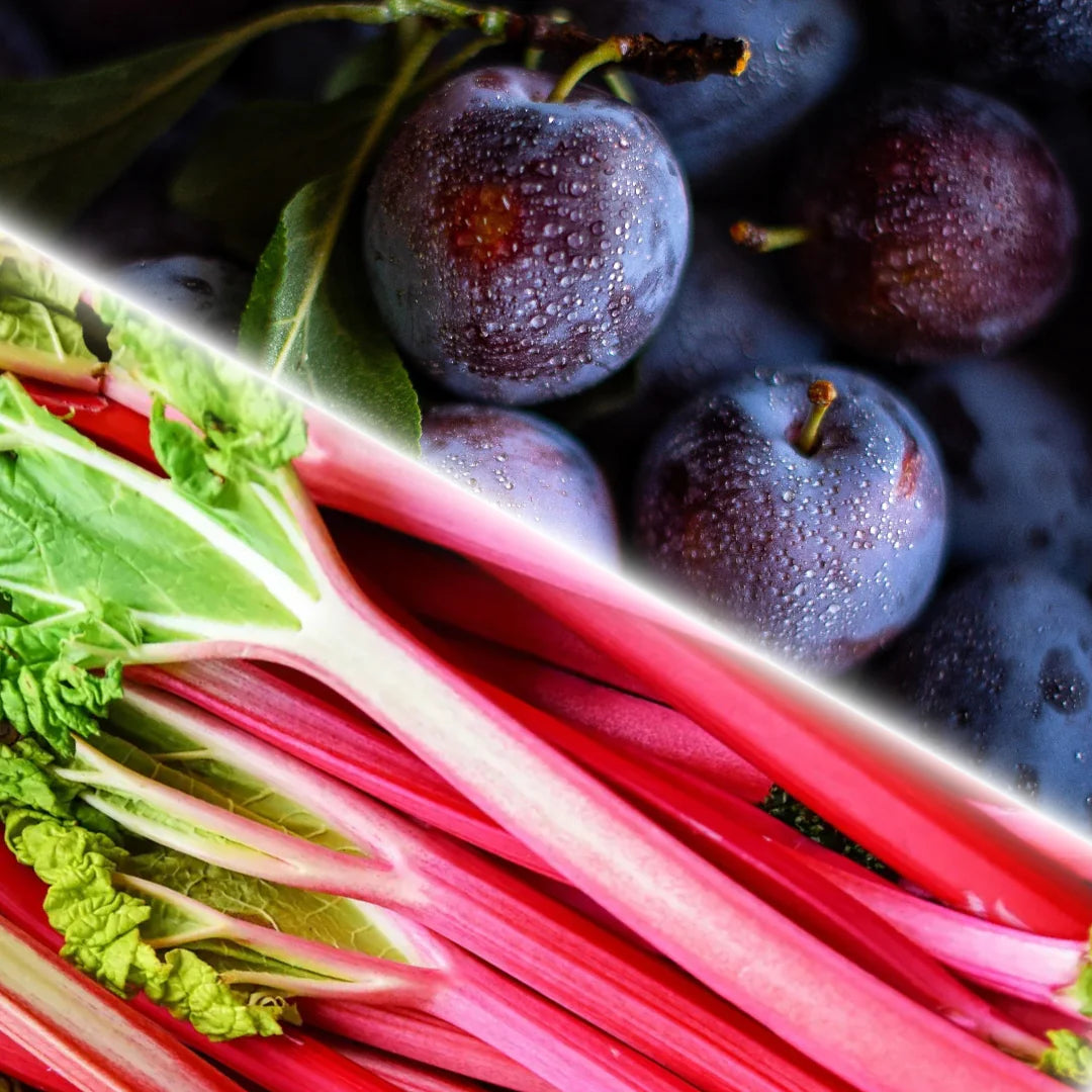 Black Plum & Rhubarb Candle